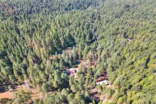 4940 Star Ln, Georgetown, CA 95634 - Photo 68