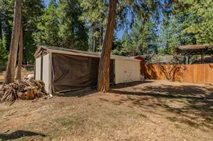 5539 Daisy Dr, Pollock Pines, CA 95726 - Photo 18