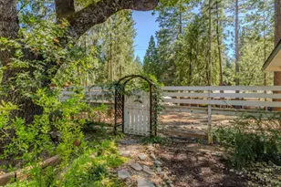 5539 Daisy Dr, Pollock Pines, CA 95726 - Photo 12