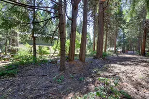 10421 Wentworth Springs Rd, Georgetown, CA 95634 - Photo 64
