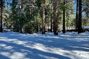 10421 Wentworth Springs Rd, Georgetown, CA 95634 - Photo 10