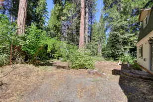 10421 Wentworth Springs Rd, Georgetown, CA 95634 - Photo 60