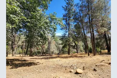 5331 Five Spot Road, Pollock Pines, CA 95726 - Photo 4