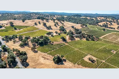 19940 Shenandoah School Road, Plymouth, CA 95669 - Photo 8
