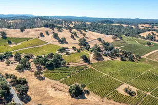 19940 Shenandoah School Rd, Plymouth, CA 95669 - Photo 8