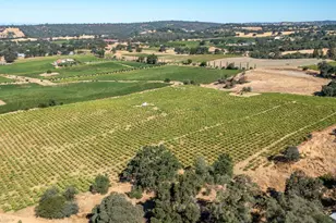 19940 Shenandoah School Rd, Plymouth, CA 95669 - Photo 12