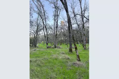 0 Cutty Sark Court, Shingle Springs, CA 95682 - Photo 20