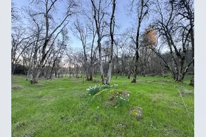 0 Cutty Sark Court, Shingle Springs, CA 95682 - Photo 8