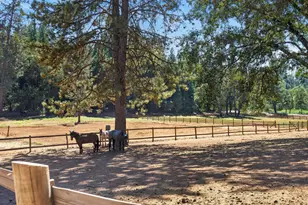 7560 State Hwy 193, Georgetown, CA 95634 - Photo 4