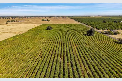 16205 Linn Road, Lodi, CA 95240 - Photo 22