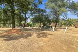 180 Rainbow Valley Ln, Newcastle, CA 95658 - Photo 66