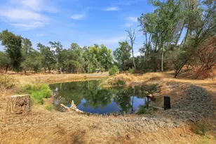 180 Rainbow Valley Ln, Newcastle, CA 95658 - Photo 84