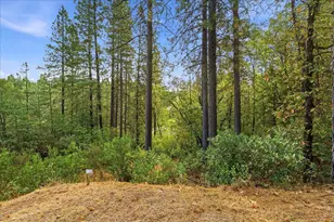 12742 Rices Crossing, Oregon House, CA 95962 - Photo 30