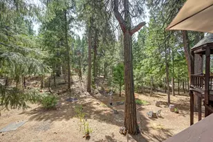 23750 Fiddletown Rd, Volcano, CA 95689 - Photo 52