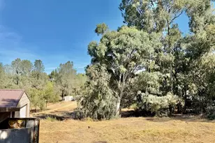 4525 Olive Hwy, Oroville, CA 95966 - Photo 32
