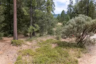 4363 Glory Hole Dr, Camino, CA 95709 - Photo 38
