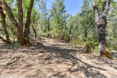 0 John Muir Drive, Colfax, CA 95713 - Photo 20