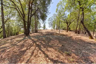 0 John Muir Drive, Colfax, CA 95713 - Photo 16