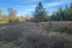 8746 Marysville Rd, Oregon House, CA 95962 - Photo 32