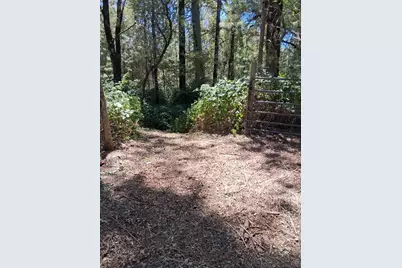 8746 Marysville Road, Oregon House, CA 95962 - Photo 10