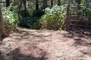 8746 Marysville Rd, Oregon House, CA 95962 - Photo 10