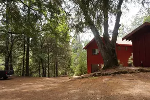 19314 Ponderosa Dr, Pioneer, CA 95666 - Photo 46