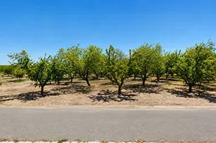 1365 Colony Rd, Ripon, CA 95366 - Photo 1