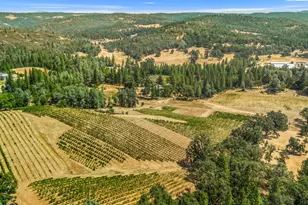 4180 Pleasant Valley Rd, Placerville, CA 95667 - Photo 20