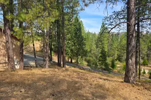 4180 Pleasant Valley Rd, Placerville, CA 95667 - Photo 60