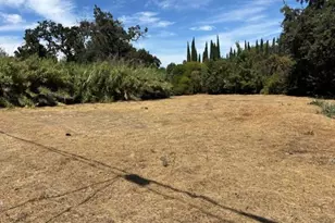 1385 Williamson Rd, Manteca, CA 95337 - Photo 1