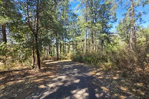 11605 Miller Peak Rd, Oroville, CA 95965 - Photo 28