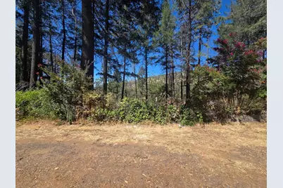 11605 Miller Peak Road, Oroville, CA 95965 - Photo 4
