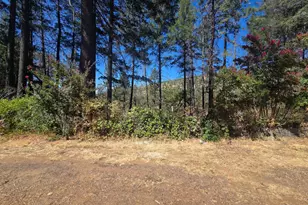 11605 Miller Peak Rd, Oroville, CA 95965 - Photo 4