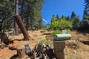 11605 Miller Peak Rd, Oroville, CA 95965 - Photo 8