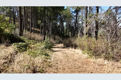 11605 Miller Peak Road, Oroville, CA 95965 - Photo 20
