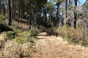 11605 Miller Peak Rd, Oroville, CA 95965 - Photo 20