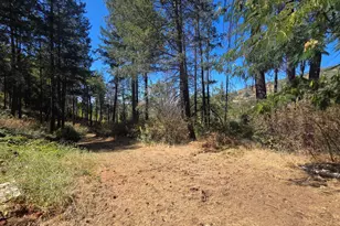 11605 Miller Peak Rd, Oroville, CA 95965 - Photo 26