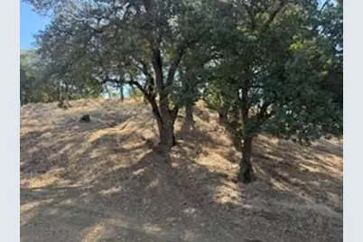 8223 Pardini Place, Valley Springs, CA 95252 - Photo 10