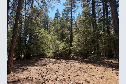 19470 Creek Drive, Pioneer, CA 95666 - Photo 2