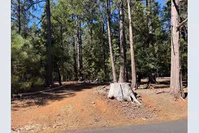 19470 Creek Drive, Pioneer, CA 95666 - Photo 1