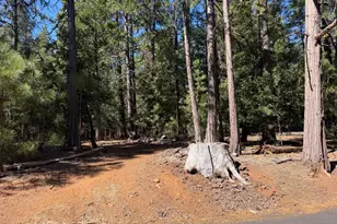 19470 Creek Dr, Pioneer, CA 95666 - Photo 1