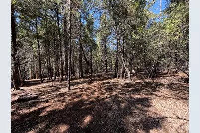 19470 Creek Drive, Pioneer, CA 95666 - Photo 16