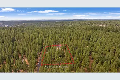 19310 Pine Drive, Pioneer, CA 95666 - Photo 58