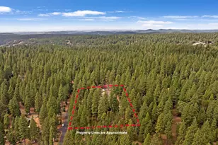 19310 Pine Dr, Pioneer, CA 95666 - Photo 58
