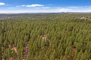 19310 Pine Dr, Pioneer, CA 95666 - Photo 62