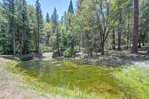 4460 Nishinam Trail, Garden Valley, CA 95633 - Photo 86
