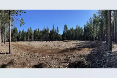 15379 Robbins Ranch Road, Nevada City, CA 95959 - Photo 4