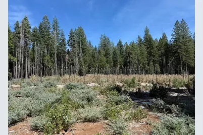 15379 Robbins Ranch Road, Nevada City, CA 95959 - Photo 2