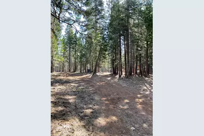 15379 Robbins Ranch Road, Nevada City, CA 95959 - Photo 10