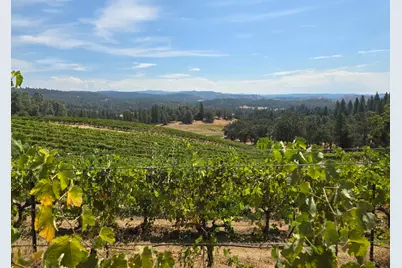 4180 Pleasant Valley Road, Placerville, CA 95667 - Photo 60